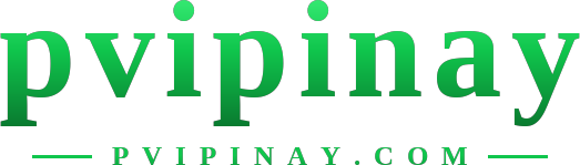 pvipinay logo